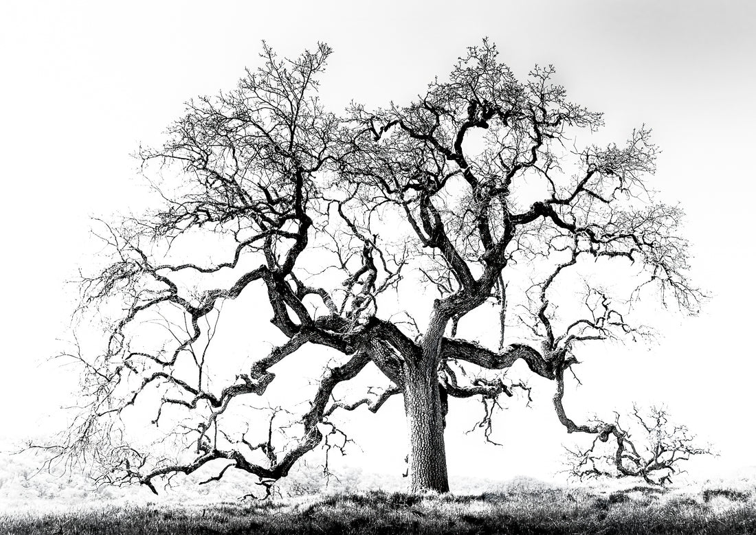 Photography by Michael Hubbard – contemporary interior art