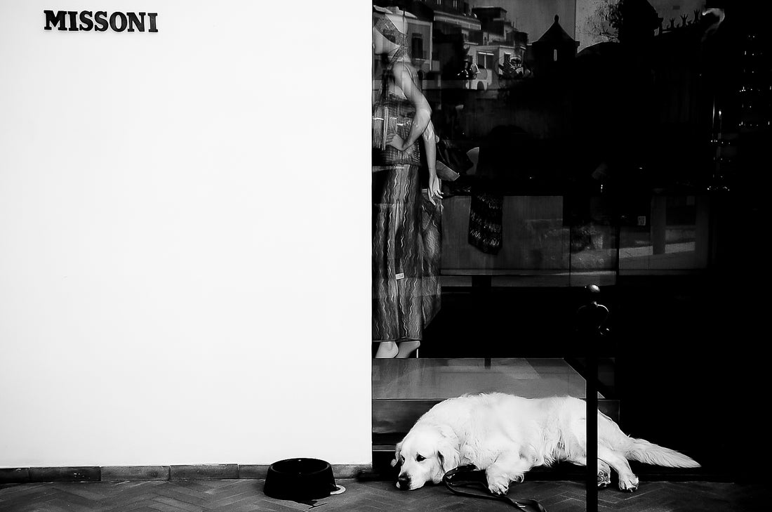 Photography by Michael Hubbard – contemporary interior art