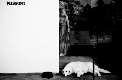 Photography by Michael Hubbard – contemporary interior art