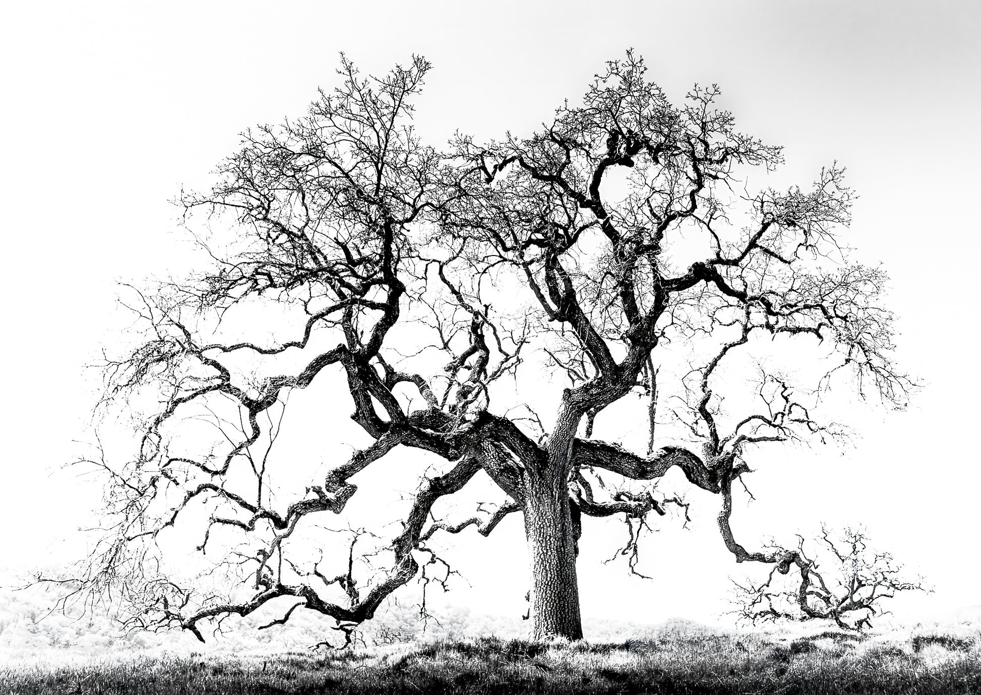 Photography by Michael Hubbard – contemporary interior art