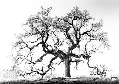 Photography by Michael Hubbard – contemporary interior art