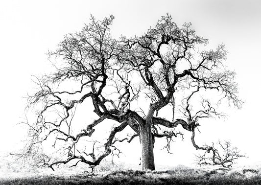 Photography by Michael Hubbard – contemporary interior art
