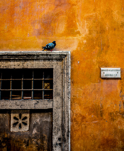 Photography by Michael Hubbard – contemporary interior art