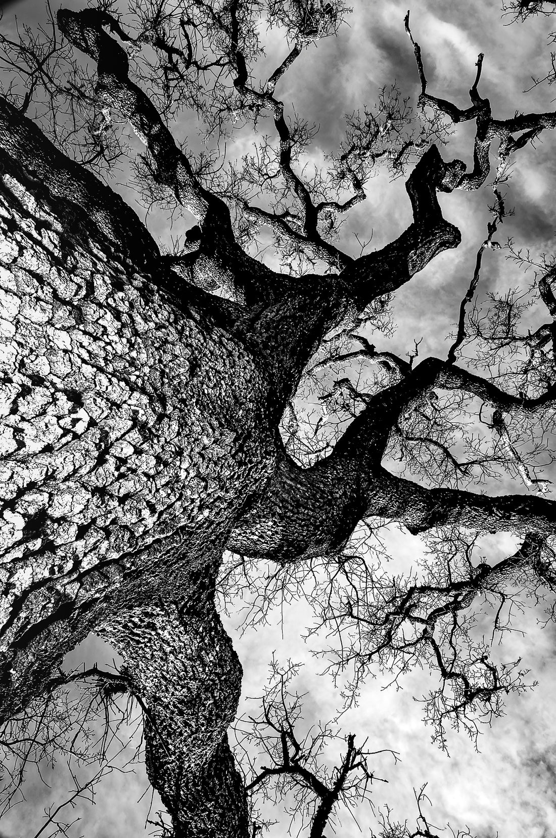 Photography by Michael Hubbard – contemporary interior art