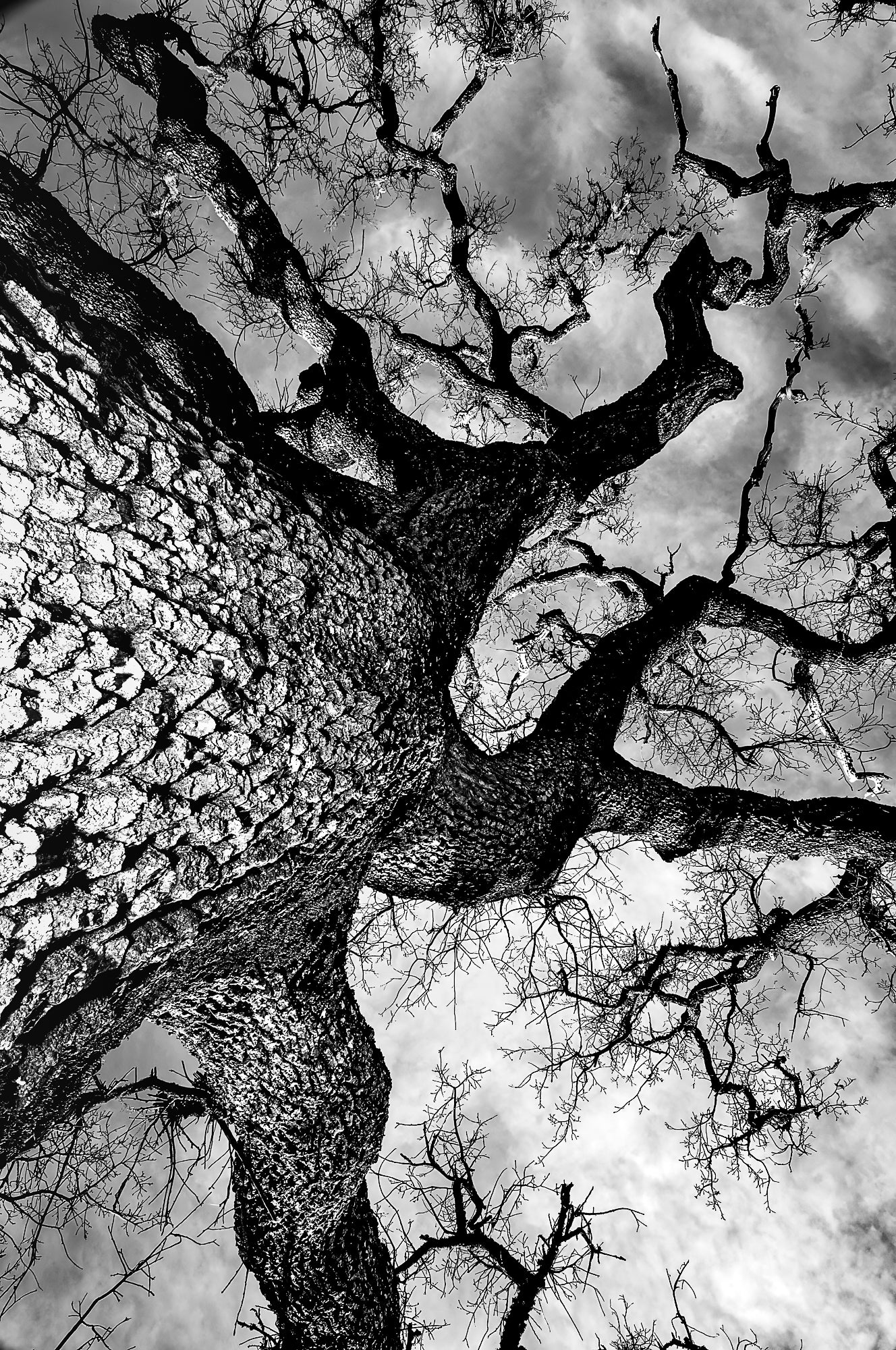 Photography by Michael Hubbard – contemporary interior art