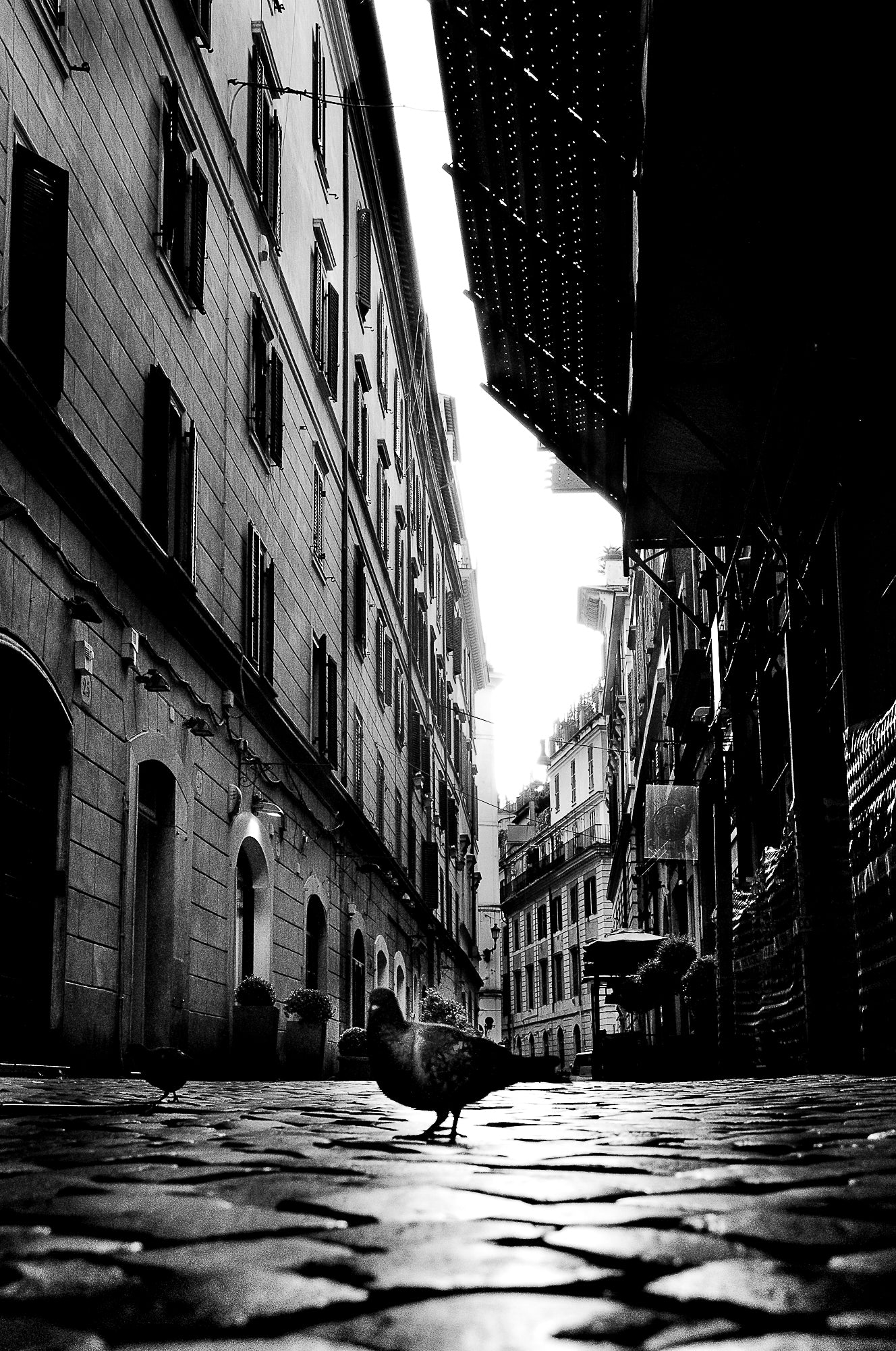 Photography by Michael Hubbard – contemporary interior art