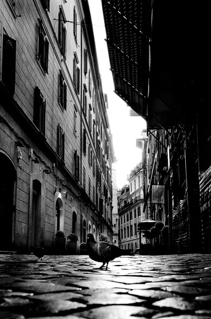 Photography by Michael Hubbard – contemporary interior art